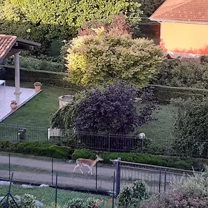La Civetta Bed & Breakfast